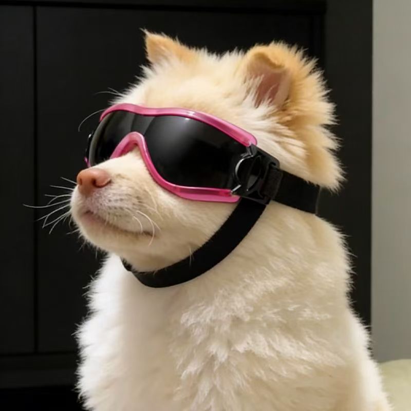 Dog Goggles for Small Medium D - Sunglass Retainer Cord ulasan dan harga